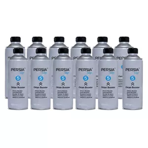 اکتان بنزین خودرو پرشیا ساین مدل Up To5 حجم 450 میلی لیتر بسته 12 عددی 
