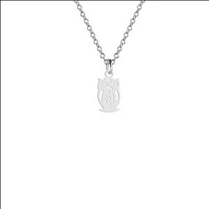 آویز تزئینی خودرو هایکا مدل جغد کد am.ha 169