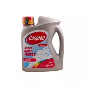 ضدیخ خودرو کاسپین مدل چهارفصل وزن 4 کیلوگرم