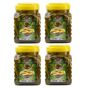 خیارشور نمکی شابهار - 2.5 کیلوگرم بسته 4 عددی