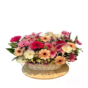 سبد گل ژربرا، لیلیوم طبیعی مدل ژربرا کد ۲۷۵
