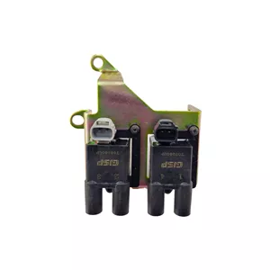 کوئل دوبل زیمنس جی آی اس پی مدل P1 کد 507005 مناسب برای پراید