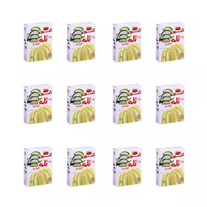 پودر ژله آلوئه ورا آمون - 100 گرم بسته 12 عددی