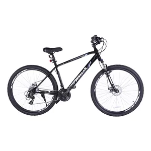 دوچرخه کوهستان آساک مدل هونان کد G-801-5292100 سایز طوقه 29 اینچ