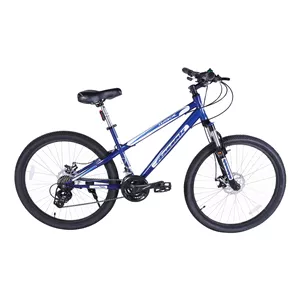 دوچرخه کوهستان آساک مدل چابک کد D-425-5262112 سایز طوقه 26 اینچ