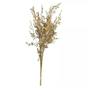 گل خشک مدل جو دوسر 