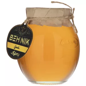 عسل به نیک - 650 گرم