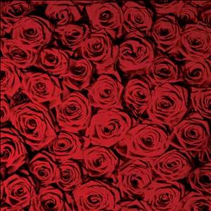 کاغذ کادو مدل کرافت کد 211 بسته 25 عددی