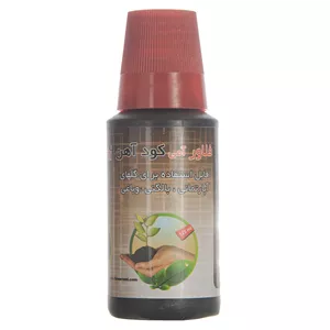 کود مایع آهن فلاور آمی کد 2055 حجم 125 میلی لیتر 