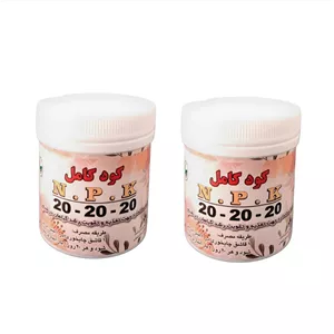 کود کامل سه بیست سبز شیمی مدل npk 20-20-20 وزن 90 گرم بسته 2 عددی 