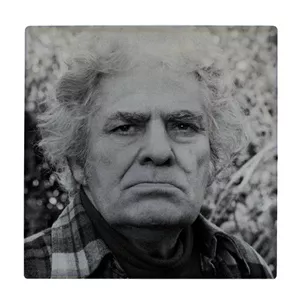 زیر لیوانی طرح احمد شاملو کد 3113359_268