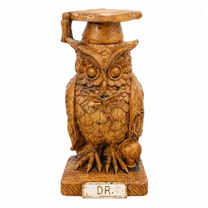 مجسمه مدل دکتر جغد کد D2