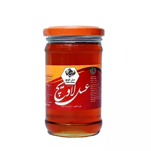 عسل طبیعی پونه لاویچ - 330 گرم
