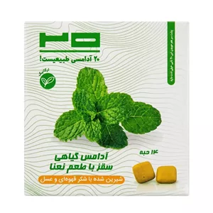 آدامس طبیعی سقز نعنا بیست - ۲۰ گرم