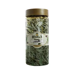 برگ اکالیپتوس خشک گیاه کالا - 100 گرم