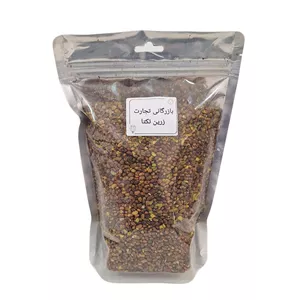 مغز پسته کوهی بنه - 500 گرم