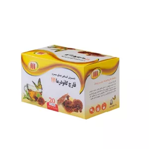 دمنوش چای سبز و گانودرما 111 - 40 گرم بسته 20 عددی