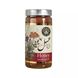 عسل چهل گیاه کوهستان ملک خاتون - 850 گرم
