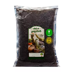 خاک کاکتوس و ساکولنت  خاک و کود گلستان مدل GKH11 حجم 2 لیتر