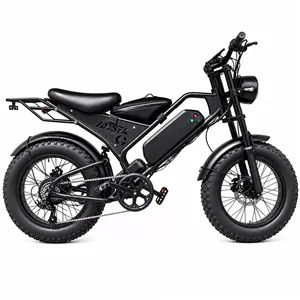 دوچرخه برقی آریستا مدل MB-6311