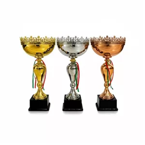 تندیس مدل کاپ قهرمانی IR025 مجموعه 3 عددی