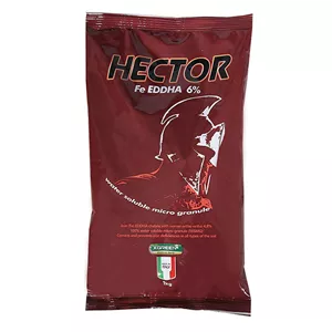کود کلات آهن 6 درصد ایکس گرین مدل Hector وزن 1 کیلوگرم