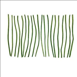 پیپ پاک کن مدل PIPMSCH20 بسته 20 عددی