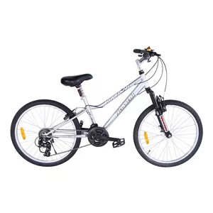 دوچرخه کوهستان آساک مدل کسرا کد C-306-5242104 سایز طوقه 24 اینچ