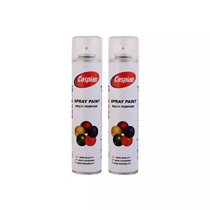 اسپری کیلر کاسپین مدل Professional حجم 300 میلی لیتر مجموعه 2 عددی 