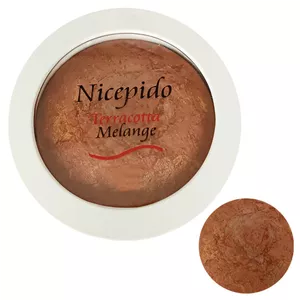 رژگونه نایسپیدو مدل براق تراکوتا شماره 207