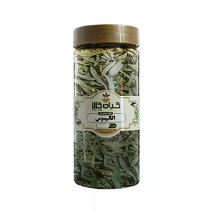 گیاه اکالیپتوس گیاه کالا - 250 گرم