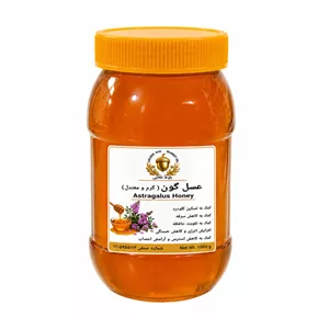عسل طبیعی گون بلوط طلایی - ۱۰۰۰ گرم