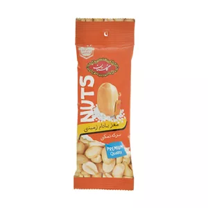 مغز بادام زمینی سرکه نمکی گلستان- 30 گرم