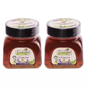 عسل طبیعی چهل گیاه زاگرس رویال کندو کوهرنگ - 450 گرم بسته 2 عددی