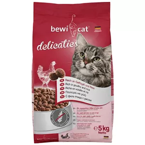 غذای خشک گربه بالغ بوی کت مدل Delicaties طعم مرغ و برنج وزن 5 کیلوگرم