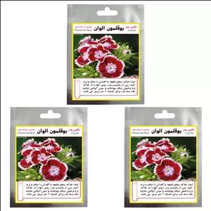بذر گل بوقلمون الوان تالین بذر مدل TAL-024 مجموعه 3 عددی