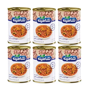 کنسرو لوبیا چیتی با قارچ شامینه - 350 گرم بسته 6 عددی