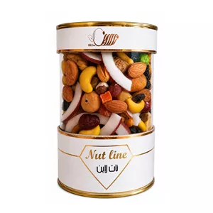 آجیل چهارفصل نات لاین - 650 گرم