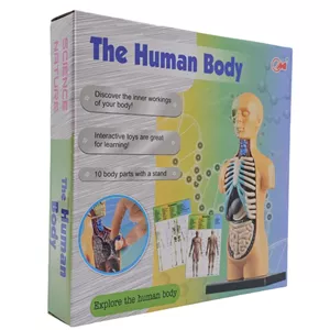 بازی آموزشی ناب سل مدل مولاژ آناتومی اعضای بدن The Human Body