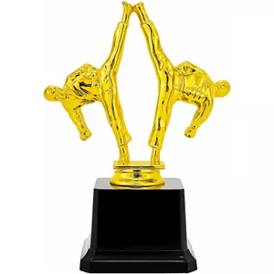 تندیس مدل کاراته 