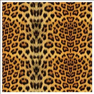 موکت زانیس مدل تافتد لمینت