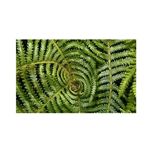  پادری مدل گل و طبیعت کد M35M001-MF0150 سایز 76x46 سانتی متر