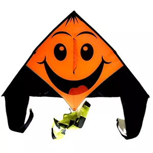 بادبادک مدل دلتا کایت طرح لبخند