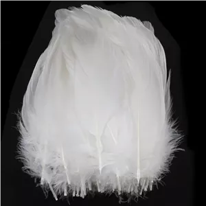 پر دریم کچر مدل w_1 بسته 20 عددی