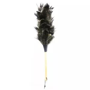 گردگیر آلین مدل Ostrich Feather 1