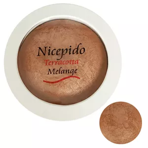 رژگونه نایسپیدو مدل تراکوتا شماره 203