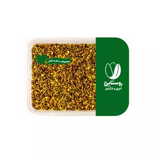 مغز پسته کوهی بنه روستایی - ۵۰۰ گرم
