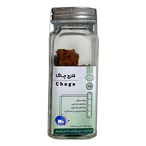 قارچ چاگا آران - 23 گرم