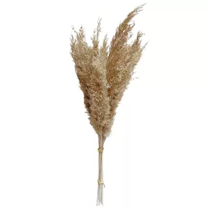 گل خشک مدل قمیش 10شاخه کد GR10