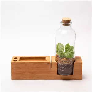 تراریوم طبیعی گلوریا سیسترز کد 009